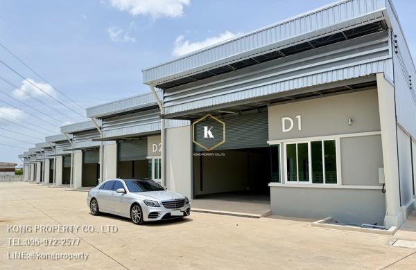 ��ط��Ҥ� �� Kong property