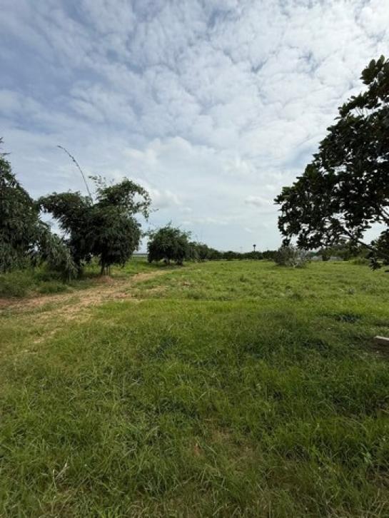 ����Ҫ� �� goodlada24