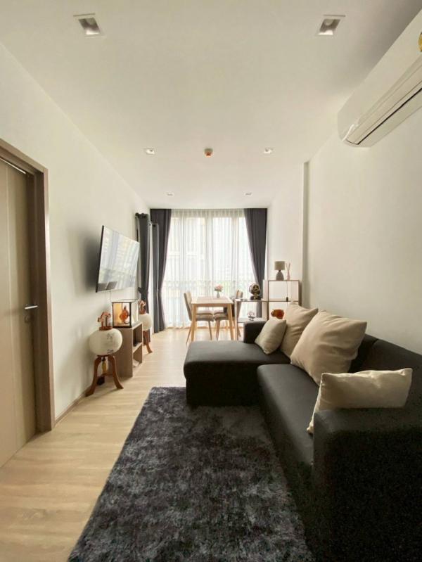 ���⢹� �� Asset X Property