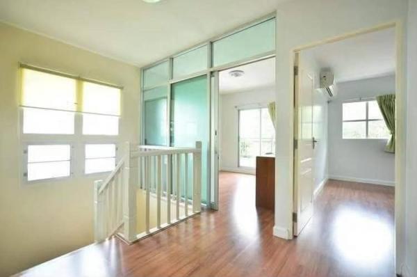 ����Ϳ��Ⱦ������������� �ҡ���