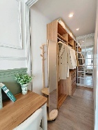 �͹� �ҧ��