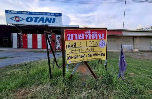 �͹�� �� zionasset1