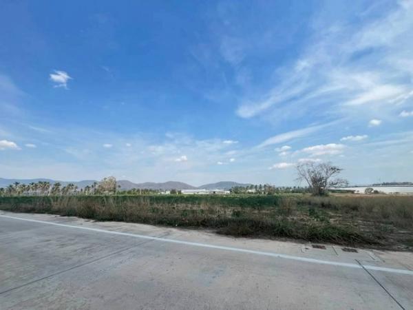 ����Ҫ� �� goodlada24