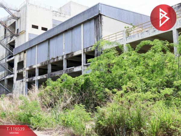 ���⡴ѧ �Ԥ��Ѳ�� ���ͧ