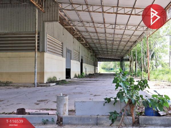 ���⡴ѧ �Ԥ��Ѳ�� ���ͧ