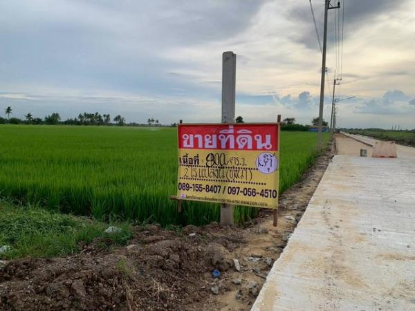 �����ҹ� �� zionasset1