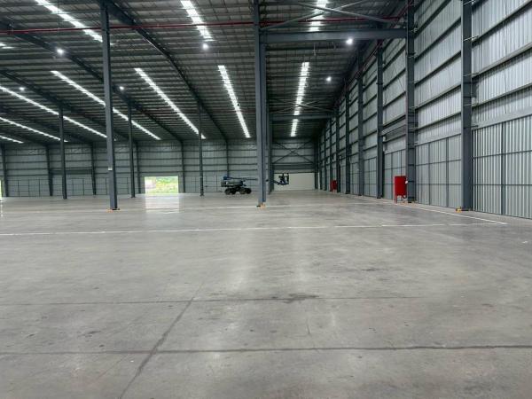 ⡴ѧ���ͧ �� 1000property