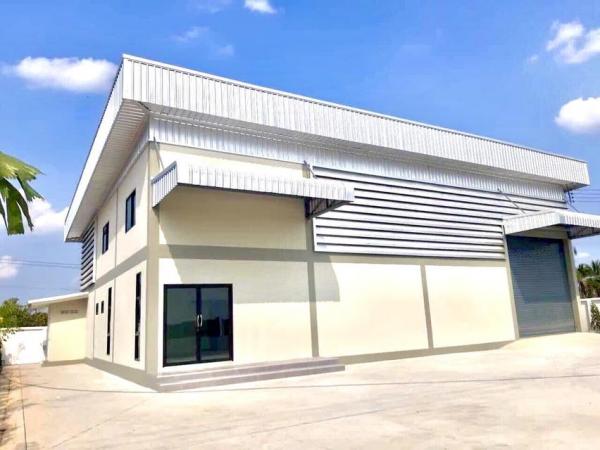 ���Թ�ҧ��Ƿͧ �������