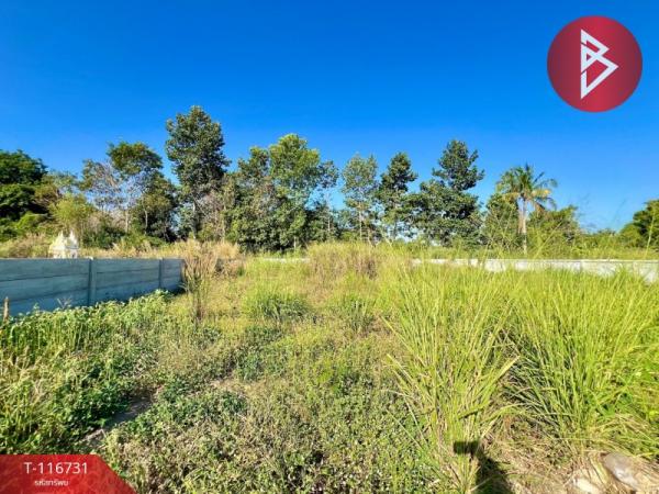 ���ʹԤ� �� The Best Property Agent