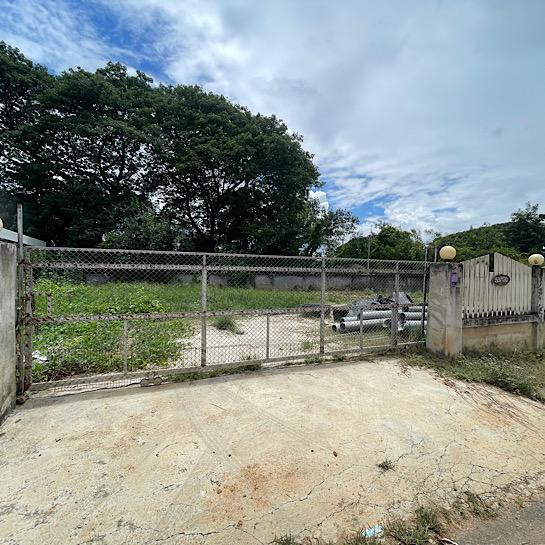 ���Թ���ͧ��§���� ��§����