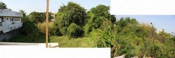 ���Թ������ �ҧ��Ѵ��ا෾