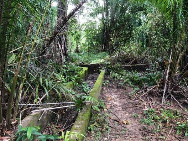 ��·��Թ ���к��վѧ��