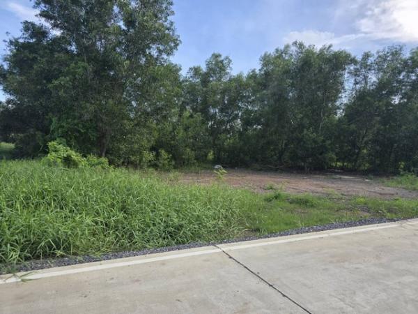 ���Թ��ͧ��ǧ �����ҹ�