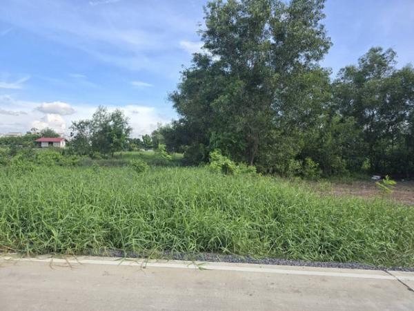 ���Թ˹�ҡ��ҧ ��ͧ��ǧ