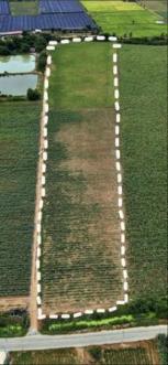 ��·��Թ �Ҥһ�С�Ȣ�� 650,000 �ҷ