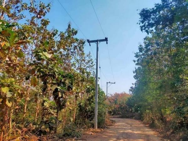 ��·��Թ �ѧ�оا ���