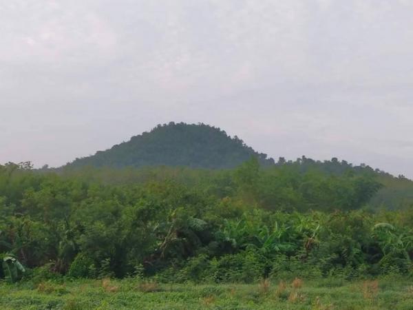 ��·��Թ �ѧ�оا ���