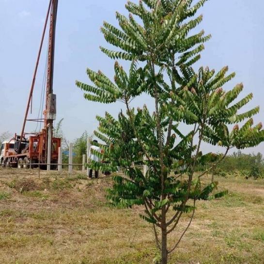 ��·��Թ �ѧ�оا ���