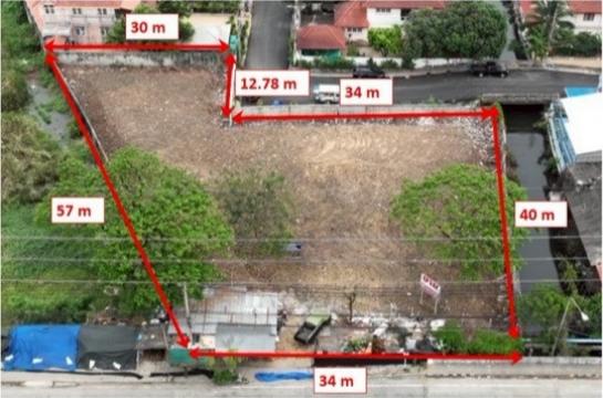 ���Թ�ҧ��Ƿͧ �������