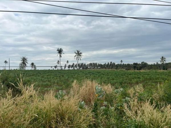 �ѵ�պ �� ahousepost9