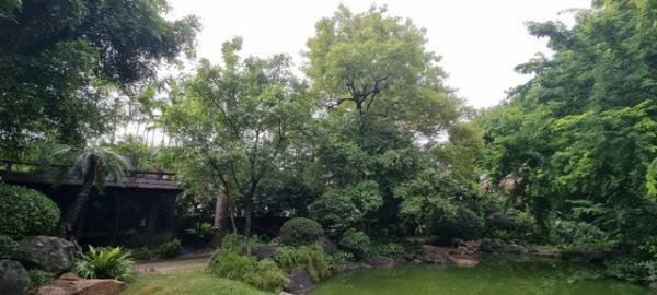 ���Թ�ѹ����� ��ا෾��ҹ��