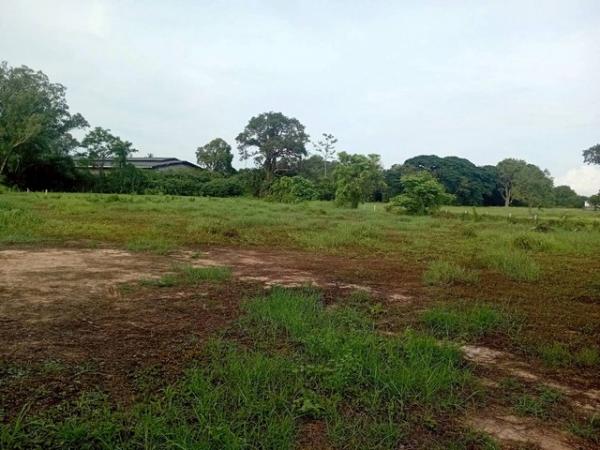 ��·��Թ ���ͧ��ʸ���ʸ�