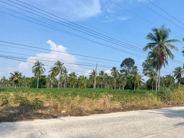 ��ªź��� �� goodlada24