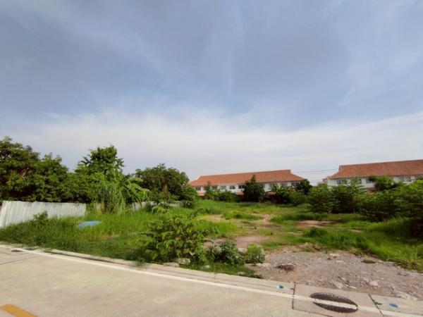 ���Թ�ҧ��� ��طû�ҡ��