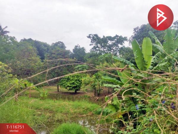 ���Թ���ͧ������� �������