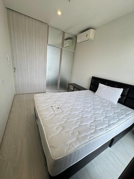 �͹������� ���ͧ������չ������