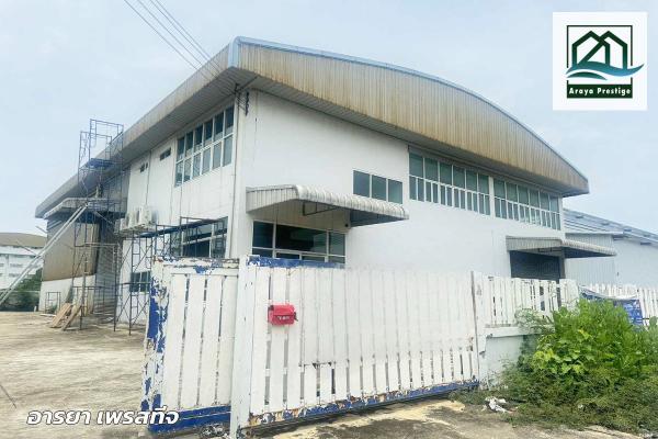 ����ç�ҹ ���ͧ��طû�ҡ����طû�ҡ��