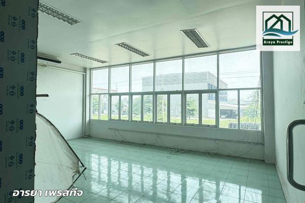 ����ç�ҹ ���ͧ��طû�ҡ����طû�ҡ��