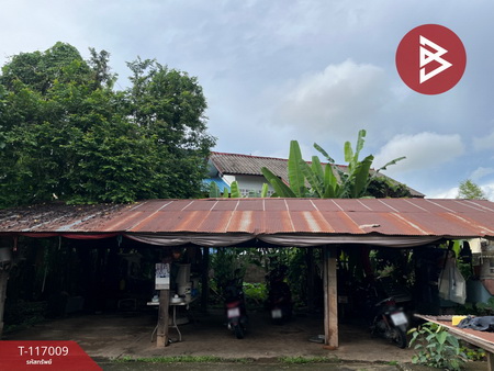 ��º�ҹ ���ͧ��ҹ��ҹ