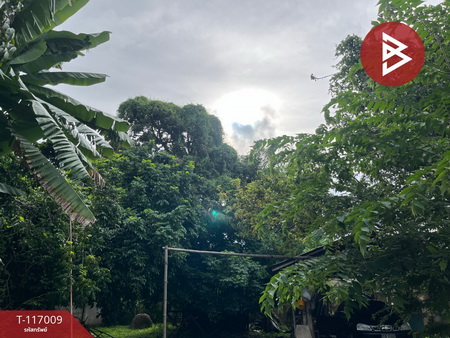 ��º�ҹ ���ͧ��ҹ��ҹ