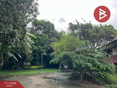 ��º�ҹ ���ͧ��ҹ��ҹ