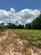 ��� ��������ҷ��Թ �ҤҢ�� 35,000,000 �ҷ ������ 60,000 �ҷ/��͹