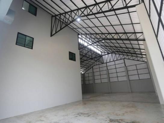 �ç�ҹ������ �ҧ�˭蹹�����