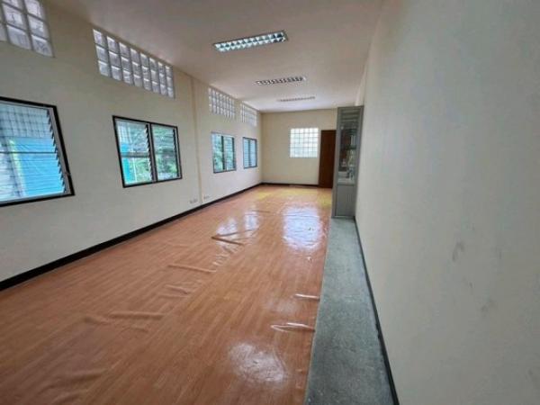 �����Ҥ�ѧ�Թ��� �Ҵ�����