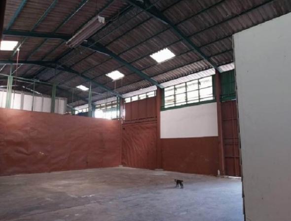 ⡴ѧ������ �ҹ���ҡ�ا෾