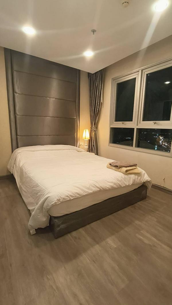 �͹������� ���ͧ������չ������