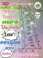 ��� ���Թ �����ͧ ���������