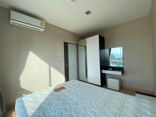 �Ң�ѭ �Ź�����