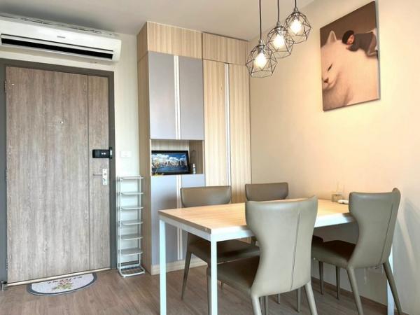 �͹ⴾ�������� �ҧ��