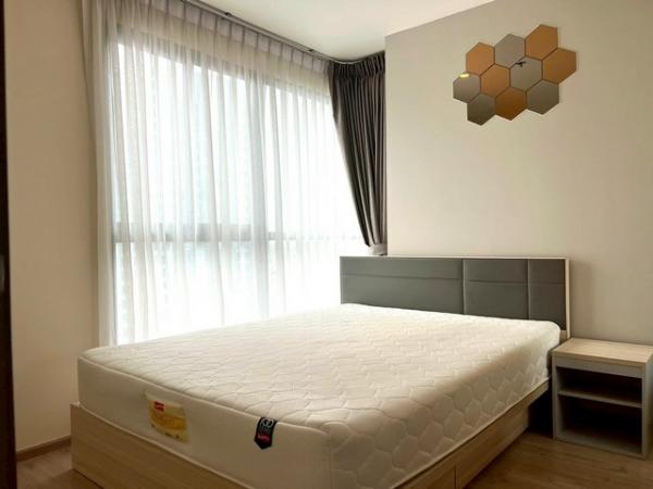 �͹����������ú �ҧ��