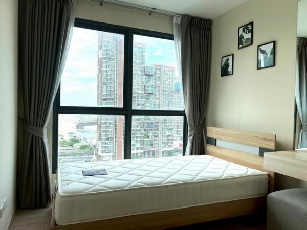 �͹�������ͧ��俿�� �ҧ��