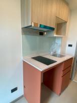 �����Ҥ͹� �ҧࢹ ��ا෾