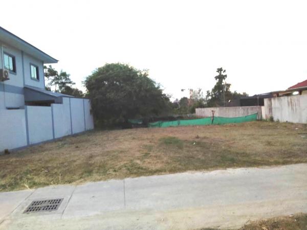 ���Թ���ͧ�ź��� �ź���