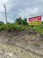 ��� ���Թ �ҧ���