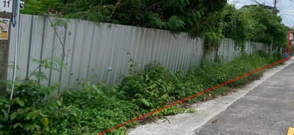 ขายที่ดินbtsขาย ขายที่ดินbtsขาย