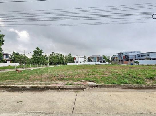 ��·��Թ �ҧ�͹